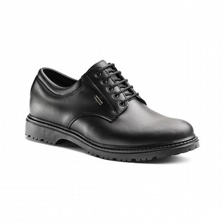 OCCUPATIONAL SHOES JOLLY 2005/G LEGEND LOW OCCUPATIONAL SHOES 100221