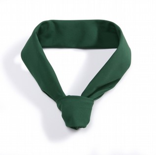 GREEN NECK TIE BP 1588 PACK OF 3 GREEN NECK TIE BP 110122