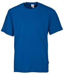 BLUE SHORT SLEEVE T-SHIRT BP BLUE SHORT SLEEVE 110188