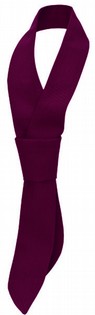 BURGUNDY NECK TIE BP 1573 PACK OF 3 BURGUNDY NECK TIE 113840