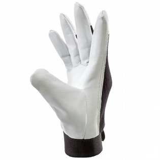 GLOVES W+R LEPUS 2500-021 GLOVES W+R LEPUS 125019